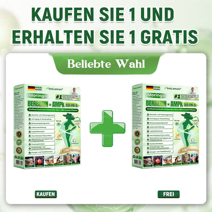 InsLemon® Moringa × Berberin × AMPK 10-in-1 Nano-Mikronadel-Pflaster für Stoffwechsel-Support (1× täglich) ✅ Unterstützt Stoffwechsel, Appetitkontrolle, Energie & Gewichtsmanagement