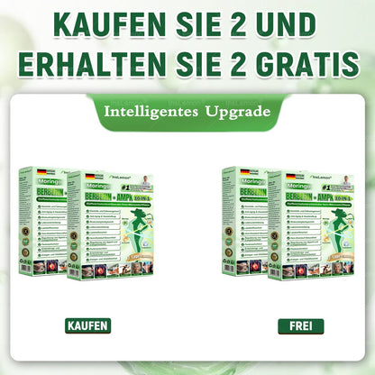 InsLemon® Moringa × Berberin × AMPK 10-in-1 Nano-Mikronadel-Pflaster für Stoffwechsel-Support (1× täglich) ✅ Unterstützt Stoffwechsel, Appetitkontrolle, Energie & Gewichtsmanagement