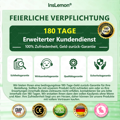 InsLemon® Moringa × Berberin × AMPK 10-in-1 Nano-Mikronadel-Pflaster für Stoffwechsel-Support (1× täglich) ✅ Unterstützt Stoffwechsel, Appetitkontrolle, Energie & Gewichtsmanagement