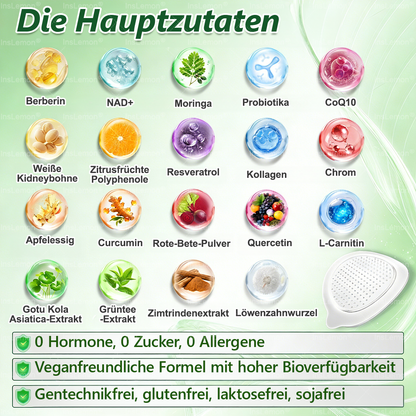 InsLemon® Moringa × Berberin × AMPK 10-in-1 Nano-Mikronadel-Pflaster für Stoffwechsel-Support (1× täglich) ✅ Unterstützt Stoffwechsel, Appetitkontrolle, Energie & Gewichtsmanagement